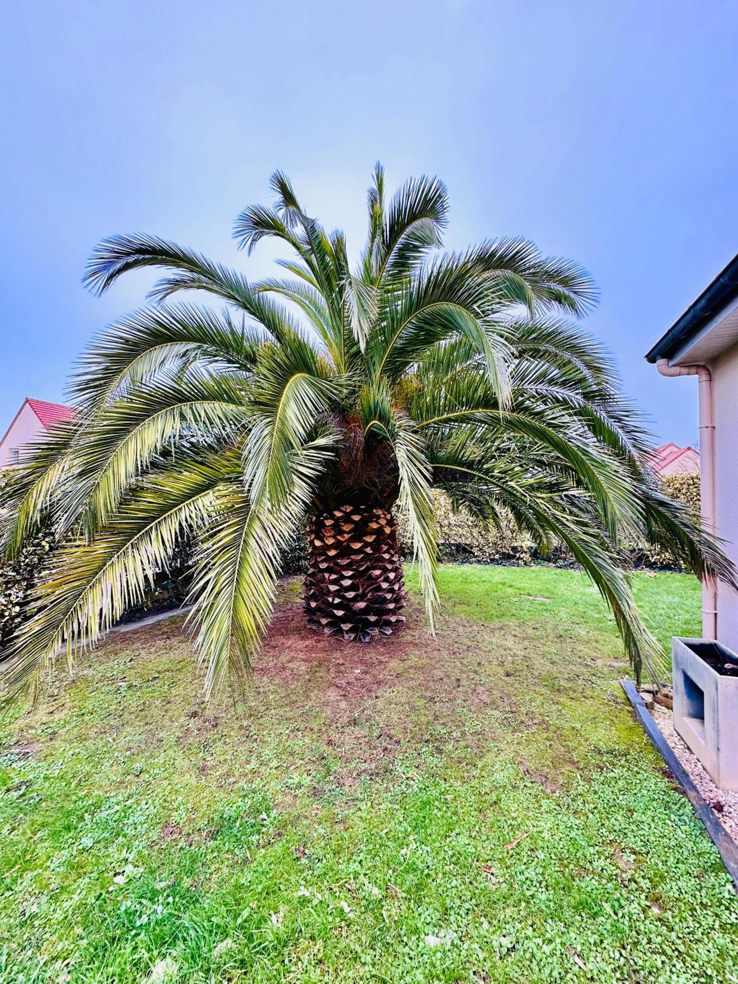 Les Palmiers Gite 7 Personnes Plages Du Debarquement 格朗德康迈西 外观 照片